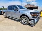 2024 Ford F150 XLT