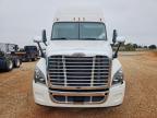 2017 Freightliner Cascadia 125 Semi Truck