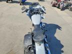 2025 Harley-Davidson Fxbb
