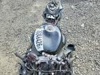 2026 Kawasaki ZX636 K