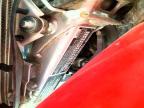 2025 Honda CRF300 LA