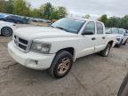 2009 Dodge Dakota SXT