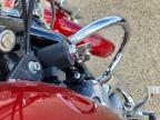 2006 Harley-Davidson XL883 C