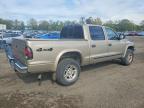 2004 Dodge Dakota