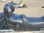 2009 Skidoo Tundra