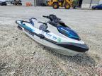 2021 Sea Doo Fish PRO JET SKI