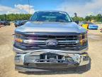 2024 Ford F150 XLT
