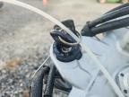 2015 Triumph Tiger Explorer