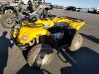 2007 Canam Canam