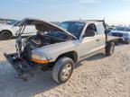 1998 Dodg Other