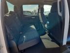 2024 GMC Sierra C1500 Elevation