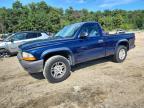 2004 Dodge Dakota SXT
