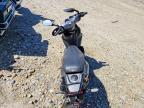 2021 Genuine Scooter Co. Roughhouse 50
