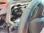 2024 Chevrolet Colorado