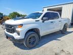 2024 Chevrolet Silverado K1500 Trail Boss Custom