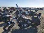 2002 Honda VT750 DC
