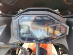 2025 Kawasaki EX500 H