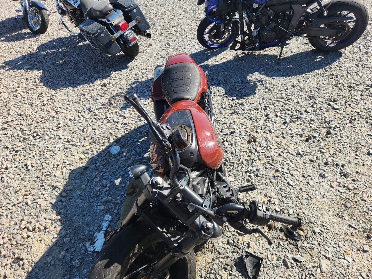 2024 Harley-Davidson RH1250