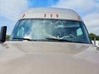 2019 Freightliner Cascadia 126 Semi Truck