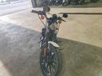 2022 Harley-Davidson XL883 N