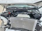 2025 Ford F150 XL