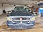 2008 Dodge Dakota SXT