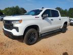 2022 Chevrolet Silverado K1500 LT Trail Boss