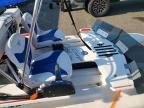 2016 Sea Vee 2016 Craigcat Personal Watercraft
