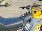 2009 Skidoo Tundra