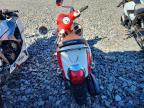 2025 Honda NCW50