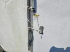 2007 Cargosouth 2007 Cargo South Enclosed Cargo Trailer