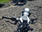 2025 Harley-Davidson RH975