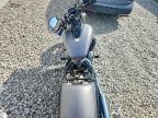 2019 Suzuki VZ800