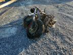 2003 Kawasaki ZX900 F1 ZX-9R