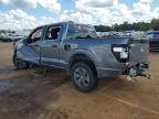 2025 Ford F150 STX