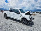 2025 Ford F150 STX