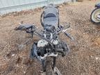 2022 Triumph Tiger 900 GT PRO