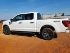 2025 Ford F150 STX