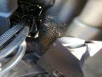 2026 Cf Moto 675SS