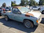 1986 Nissan Truck Base