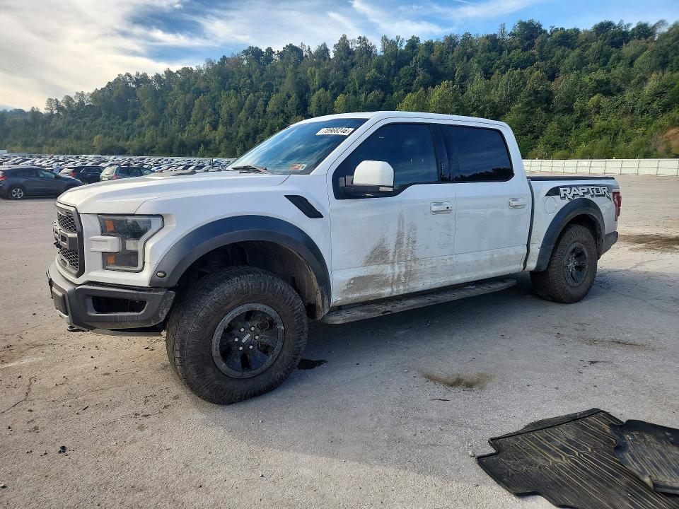 2017 Ford F150 Raptor