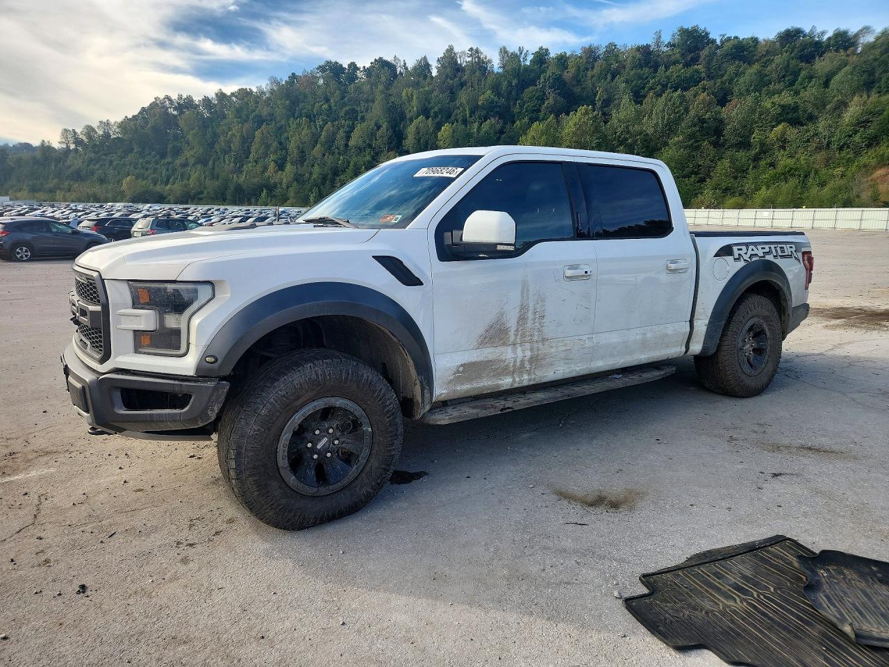 2017 Ford F150 Raptor