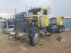1989 Peterbilt 1989  379-Semi Truck