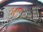 2015 Peterbilt 389-Semi Truck