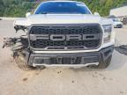 2017 Ford F150 Raptor