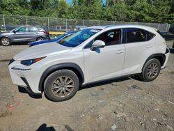 2021 Lexus NX 300 Base en venta en Waldorf, MD
