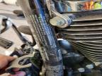 2024 Harley-Davidson Fltrx