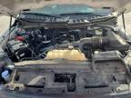 2024 Ford F150 XL