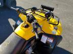 2007 Canam Canam