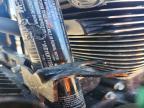2024 Harley-Davidson Fltrx